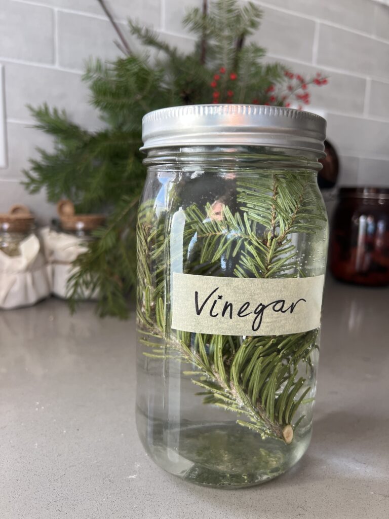 Homemade Window Cleaner with Vinegar