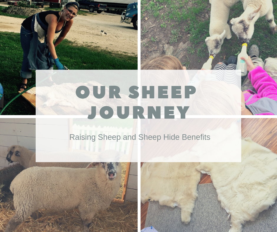sheep hides benefits