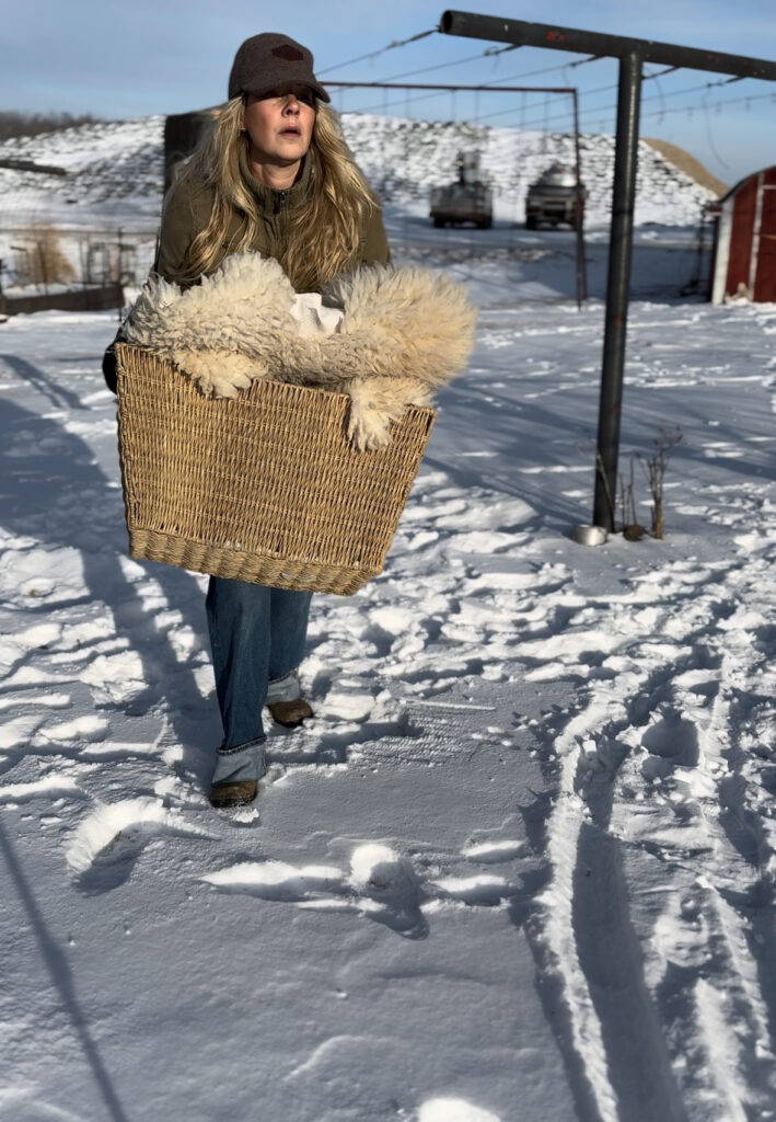 carrying a basket of wool hides