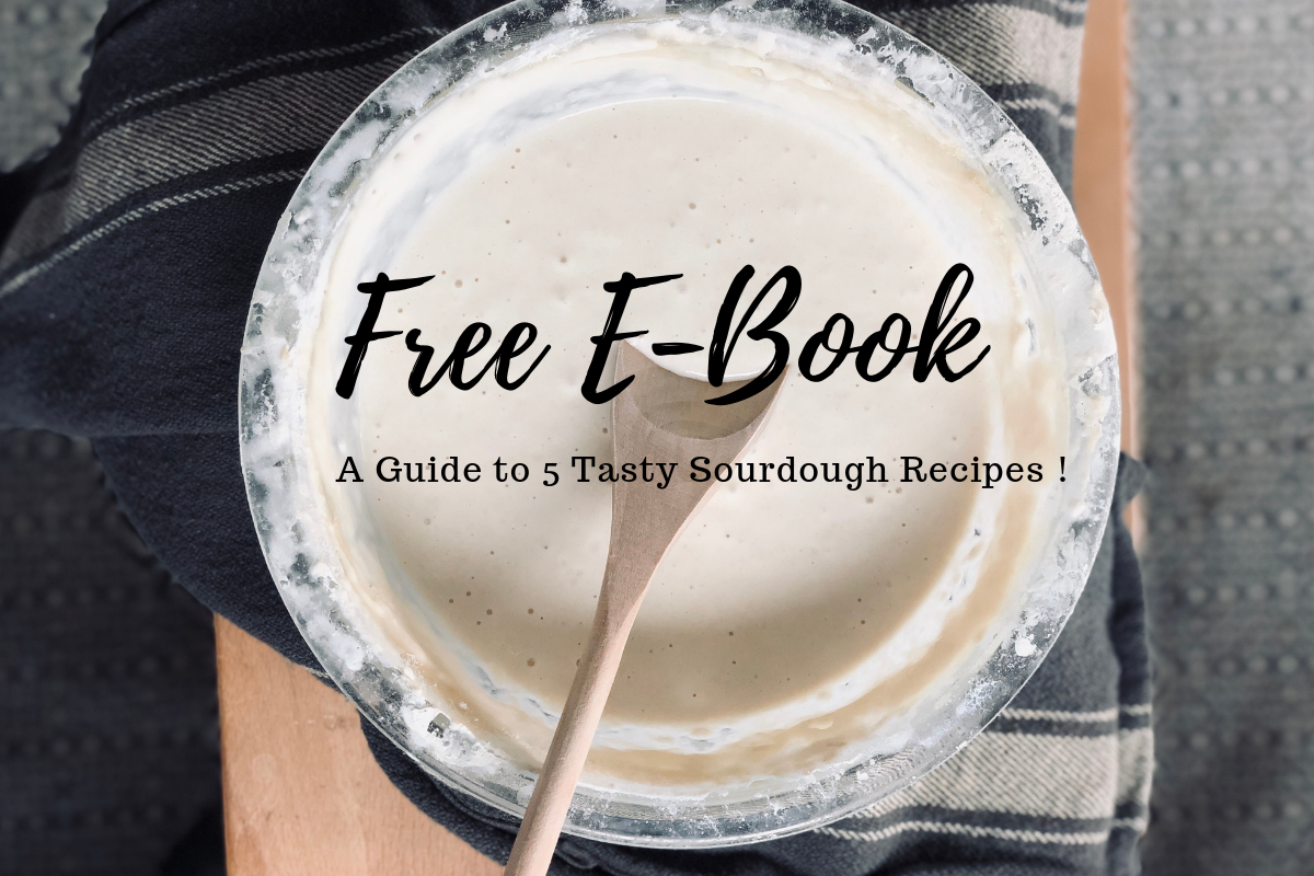 Sourdough visual data 3