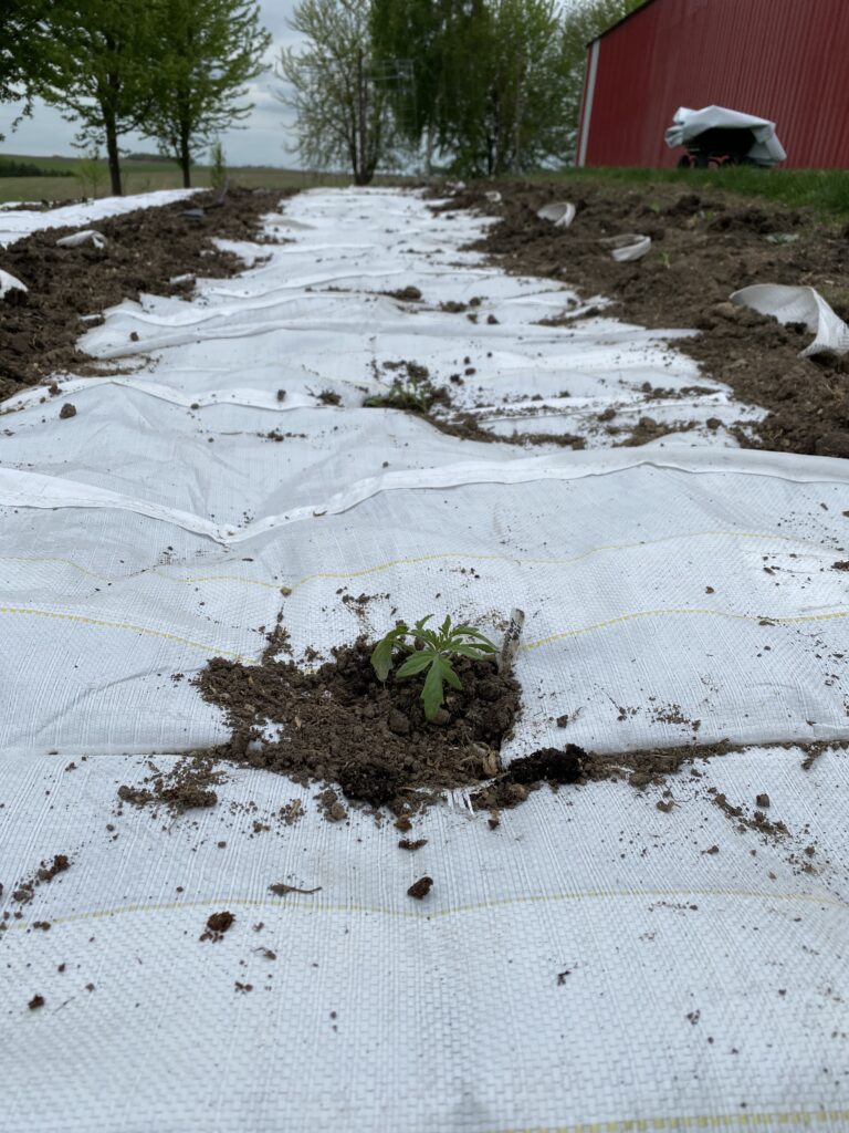 fabric weed barrier