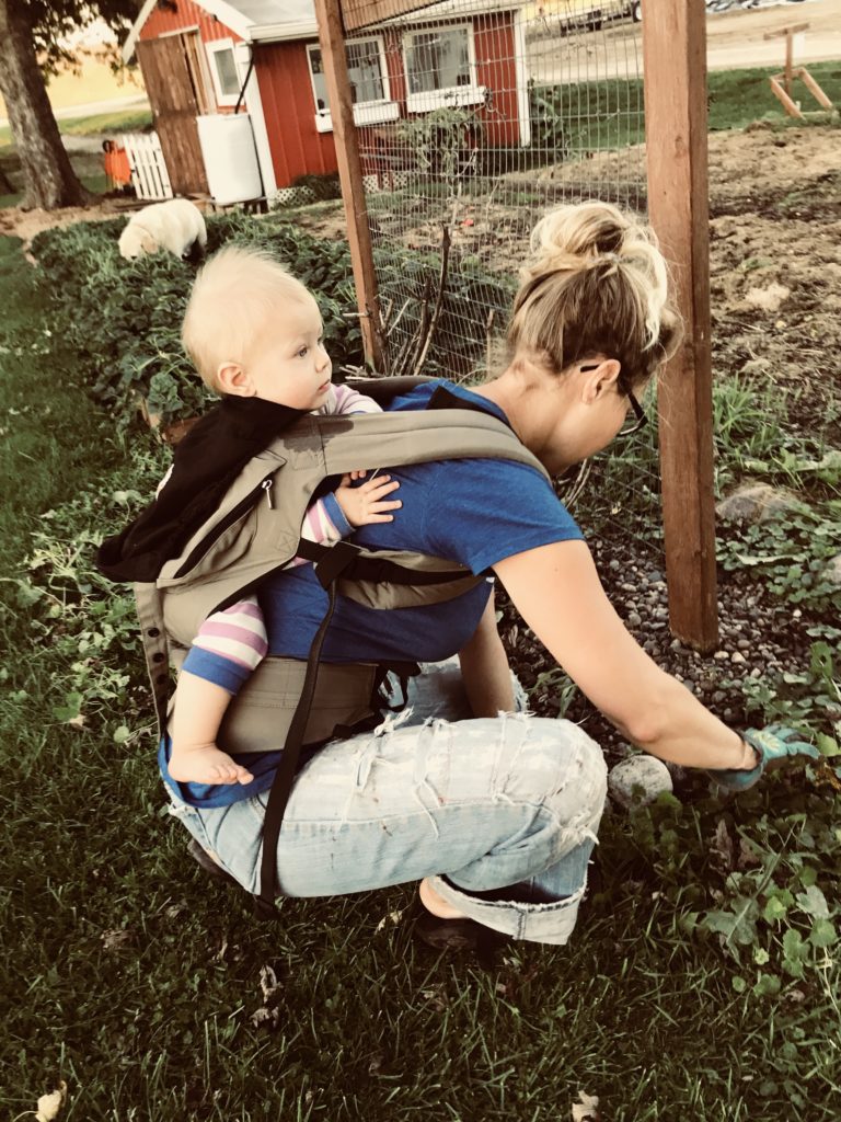 carrying a baby while pulling weeds