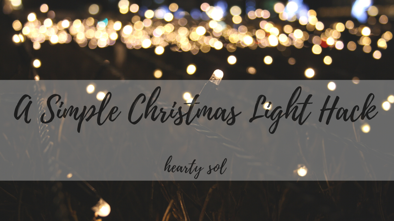 A Simple Christmas Light Hack for the Type A in all of us Hearty Sol