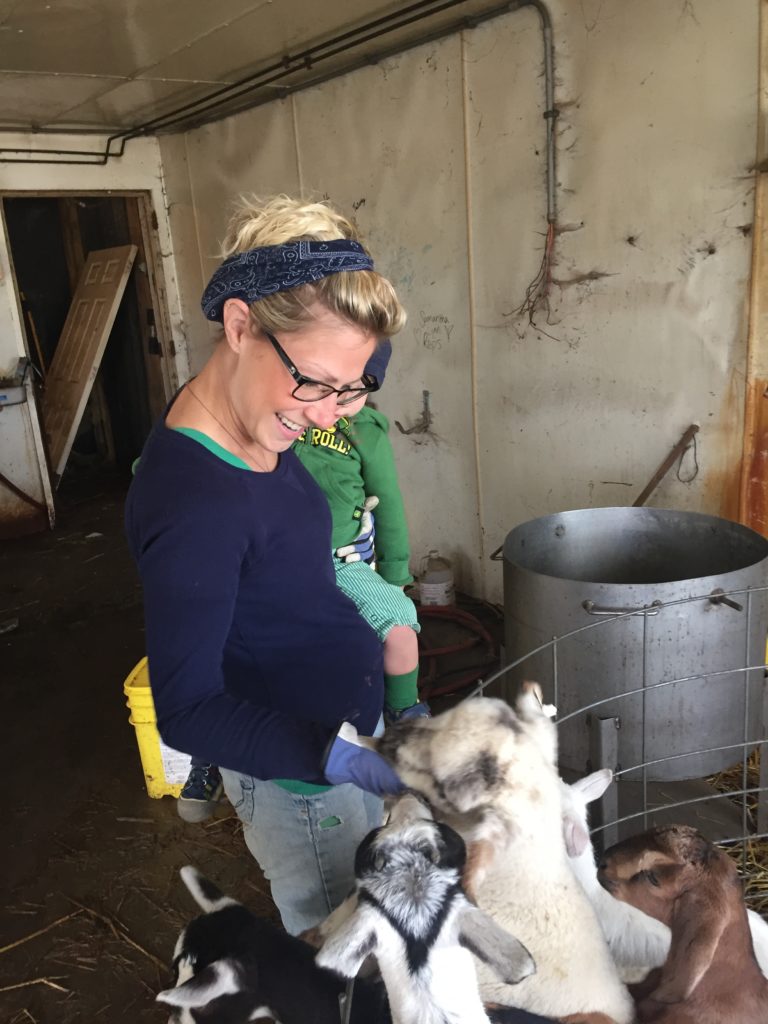 lambing instincts