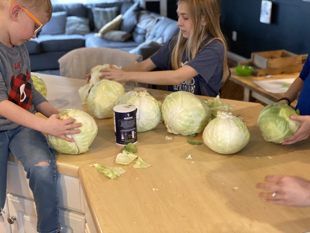 kids helping with cabbage