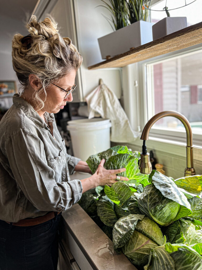 washing cabbages