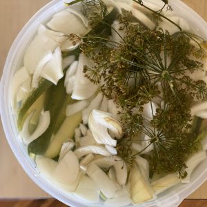 refrigerator pickles