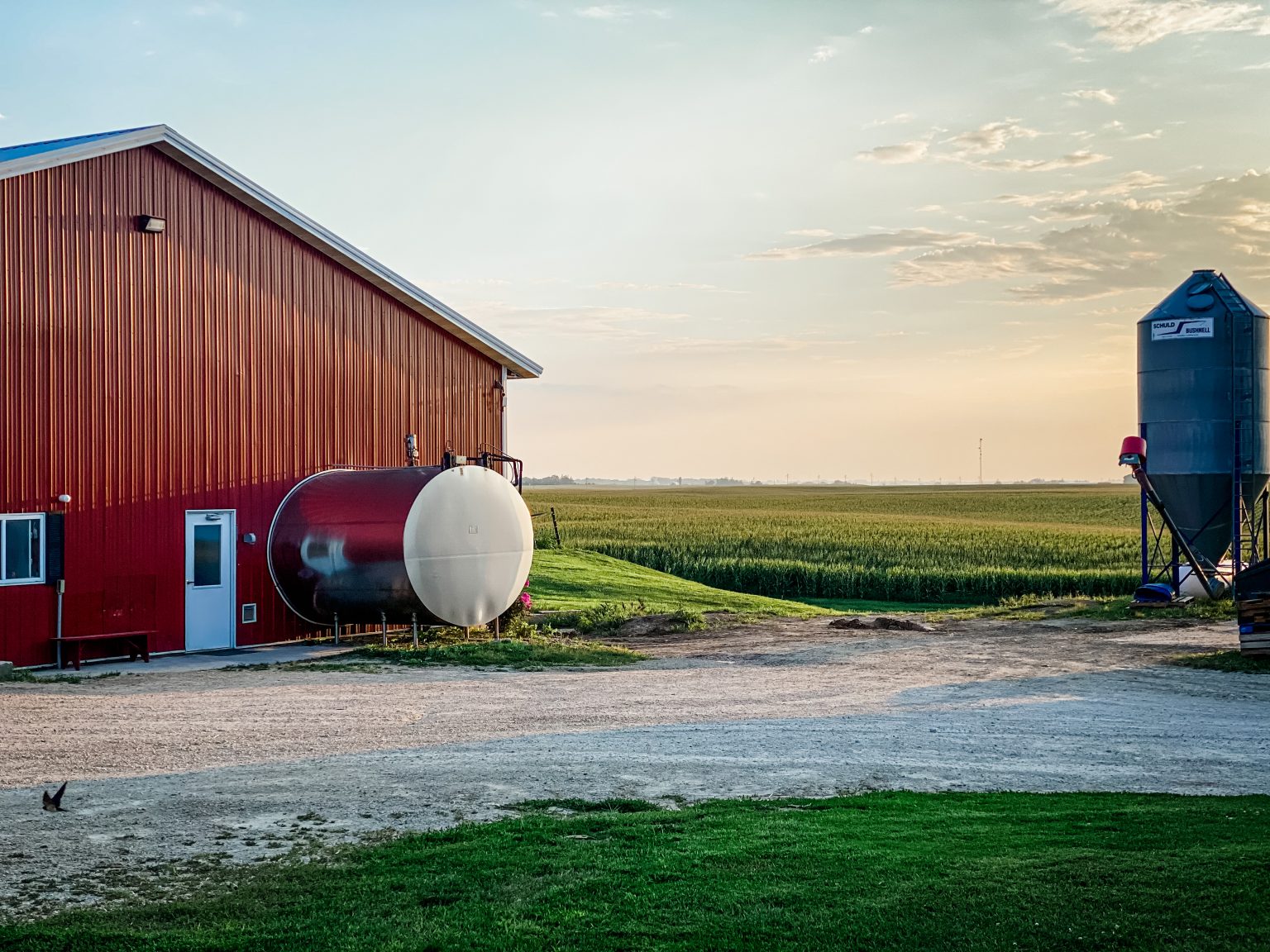 Virtual Dairy Farm Tour Explore a Minnesota Family Farm Hearty Sol