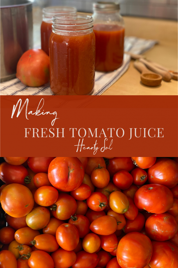 Making Delicious Tomato Juice The Best V8 Recipe Hearty Sol