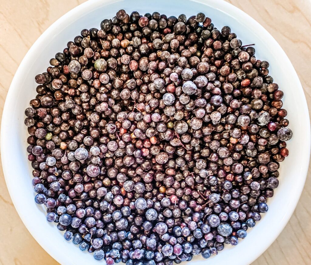 dried Elderberries