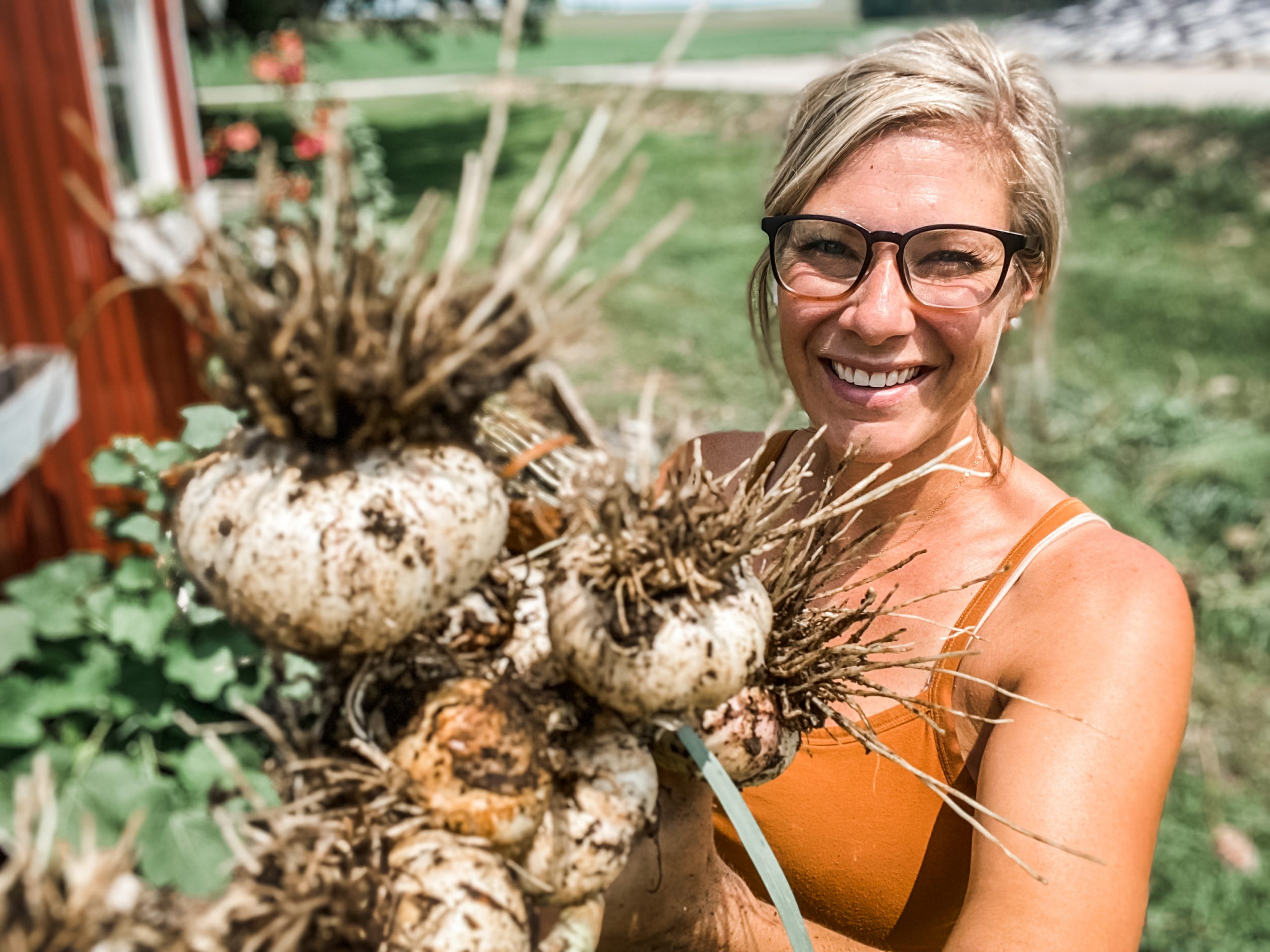 How to Harvest and Store your Garlic Hearty Sol