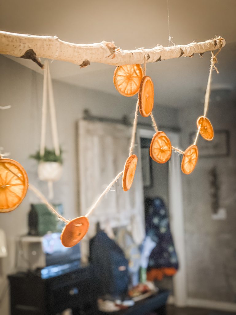hanging oranges from a birch branch