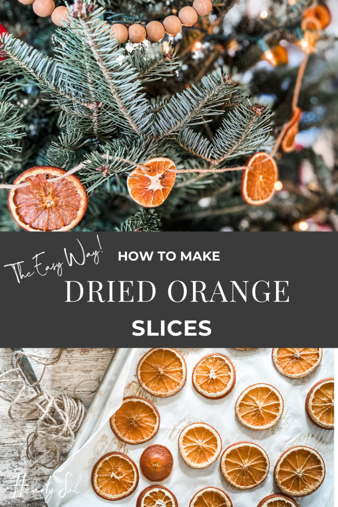 dried orange slices pin
