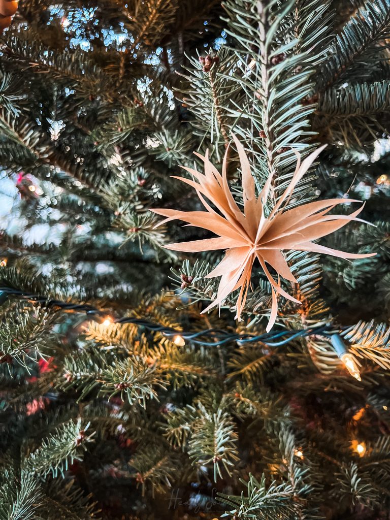 paper star on Christmas tree