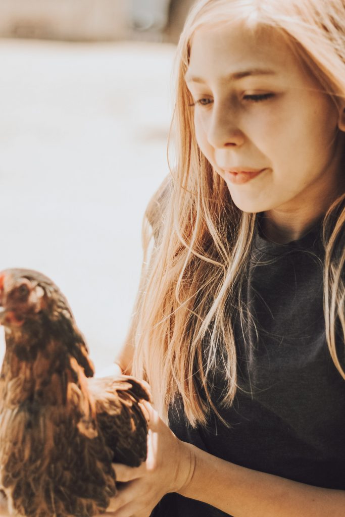 our daughter holding a chicken