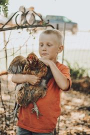 Chicken Wing Clipping Guide | Learn How To Cut your Chickens' Wings