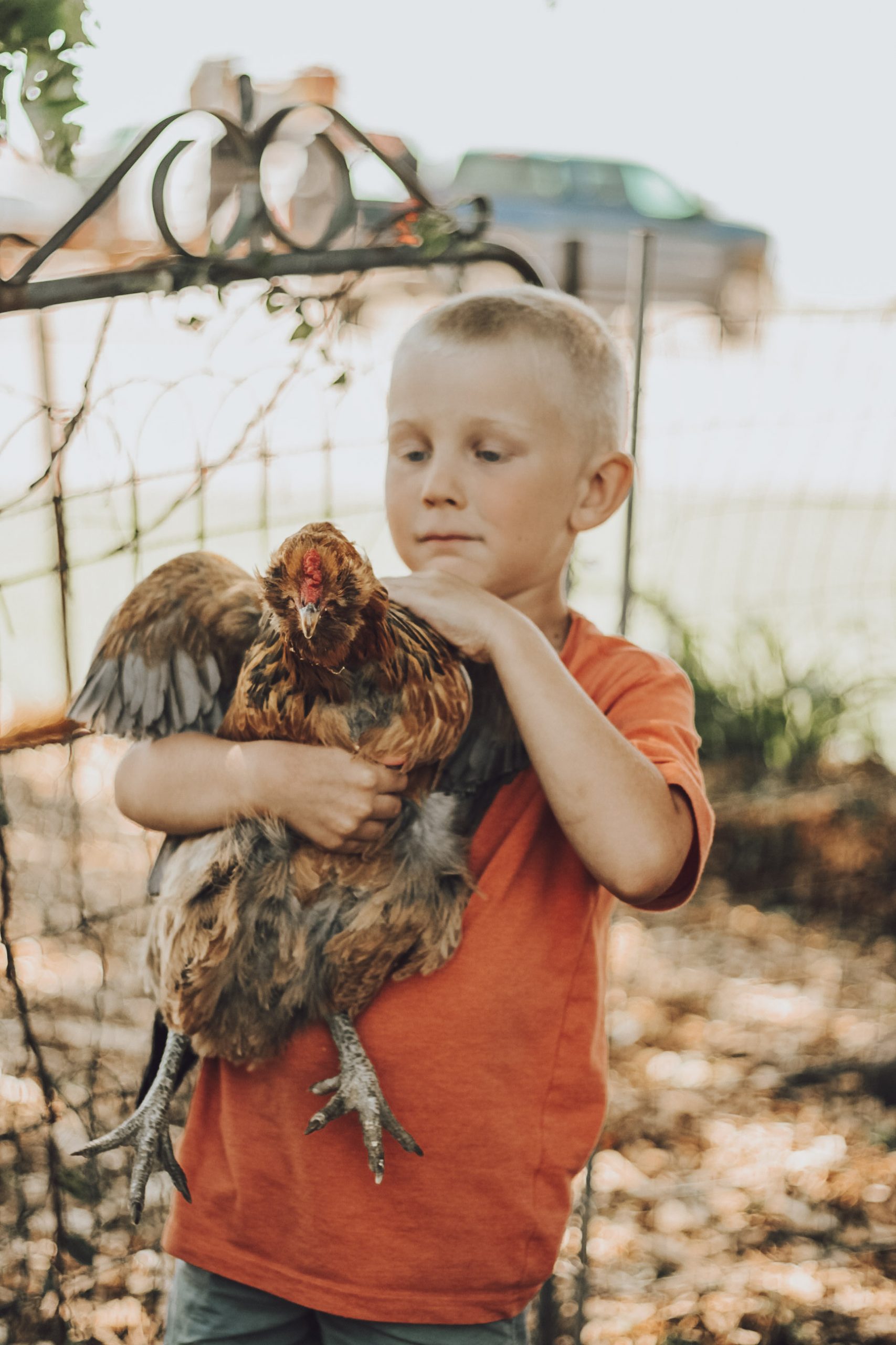 our son with a chicken