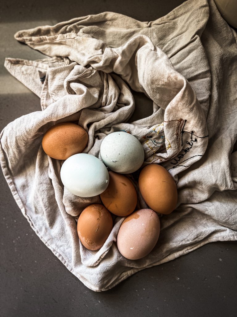 fresh eggs