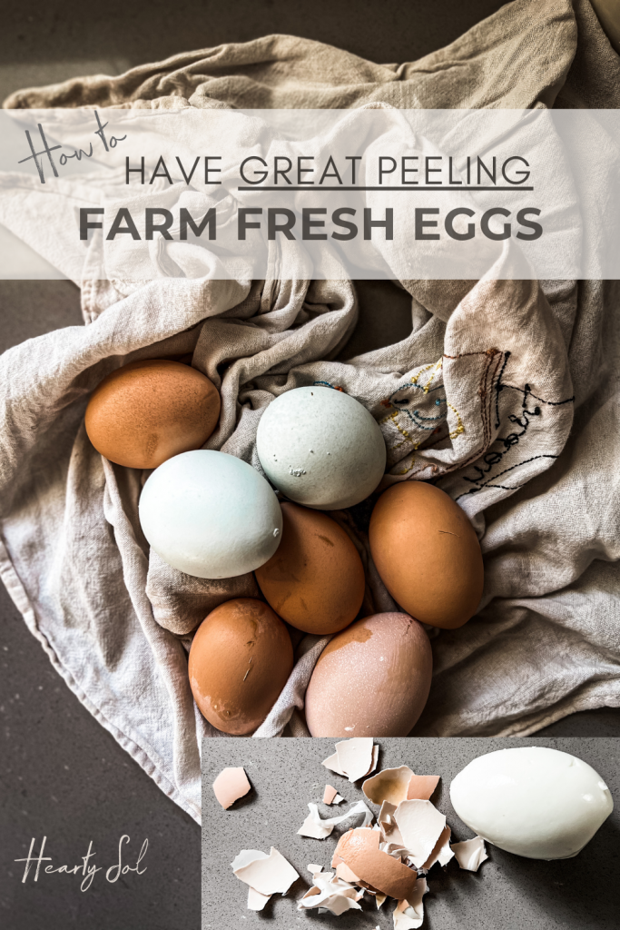 fresh boiled eggs- easy peel