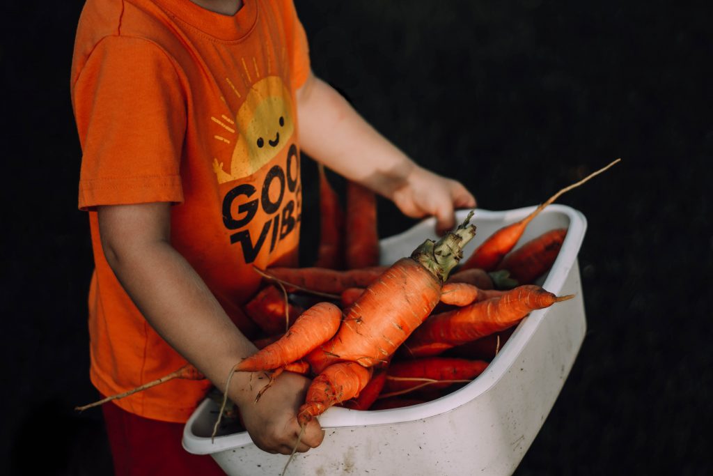 boy carrying carrots