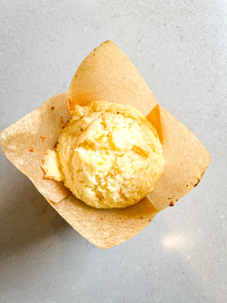 single orange muffin in paper cup