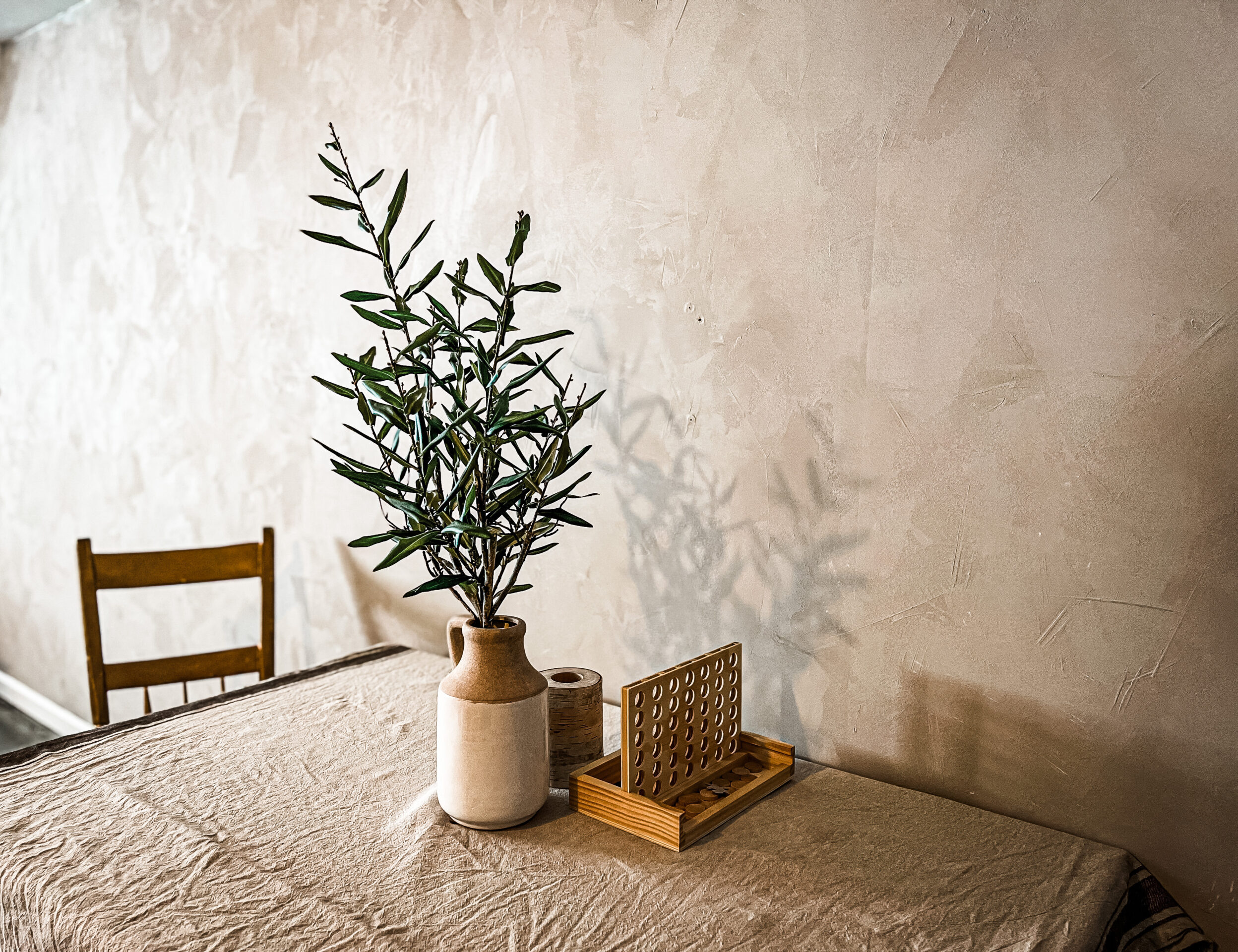 plant sitting on a table with roman clay on the wall