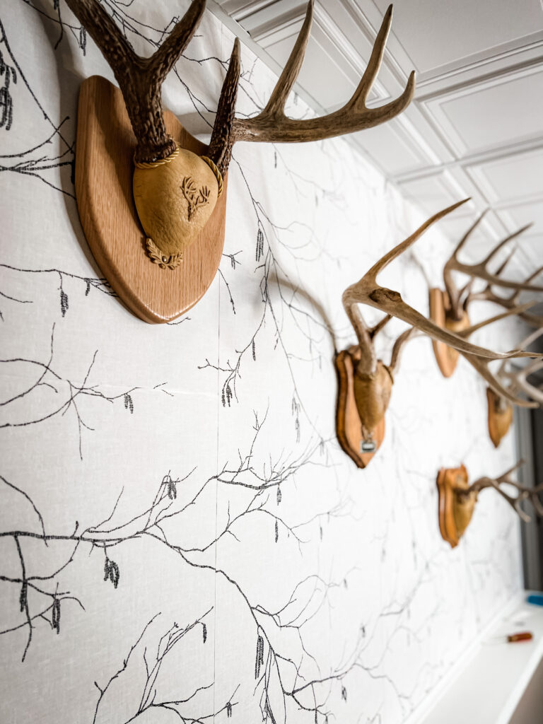 wallpaper behind deer antlers