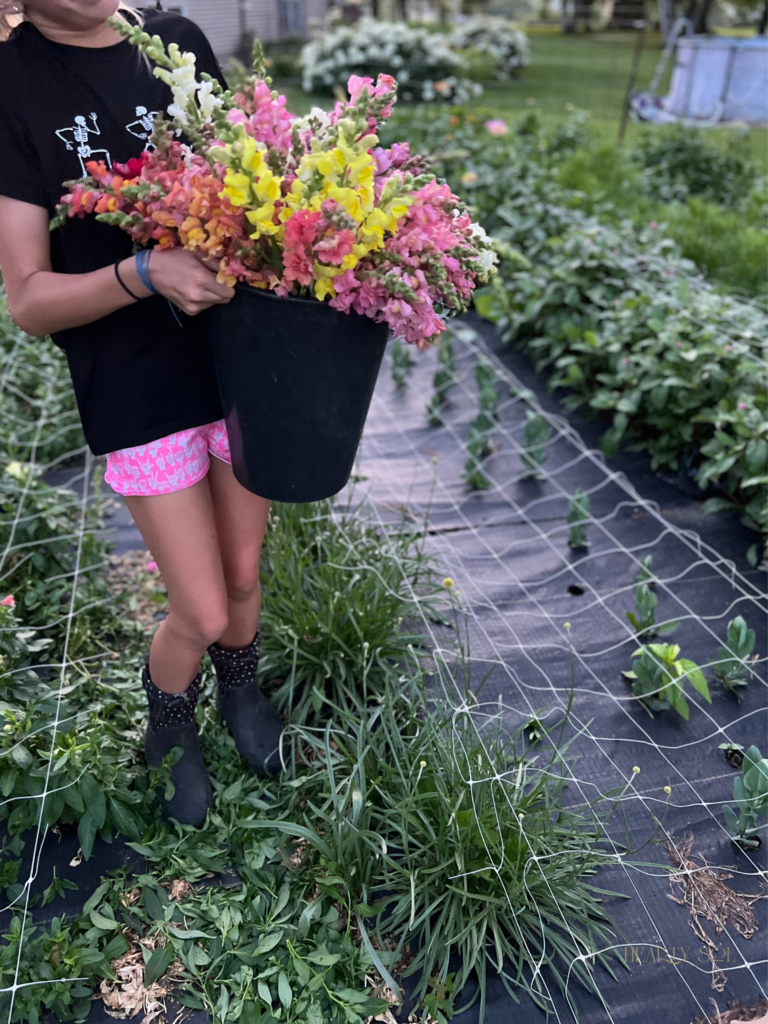 buckets of flower buckets