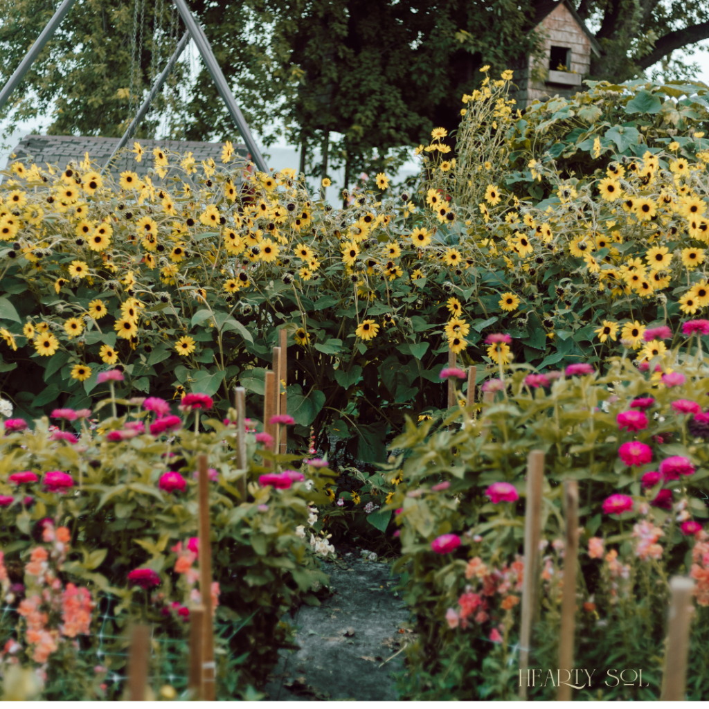 flower garden in southeastern minnesota