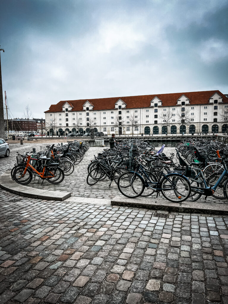 bikes of denmark