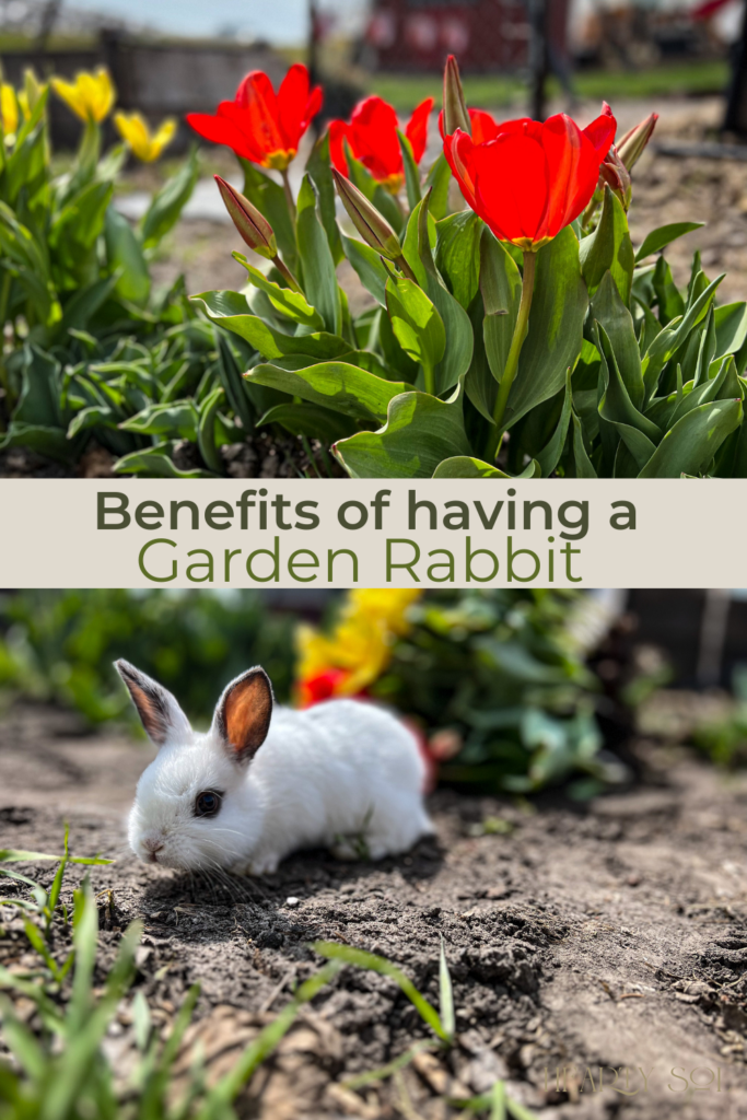 garden bunny pin