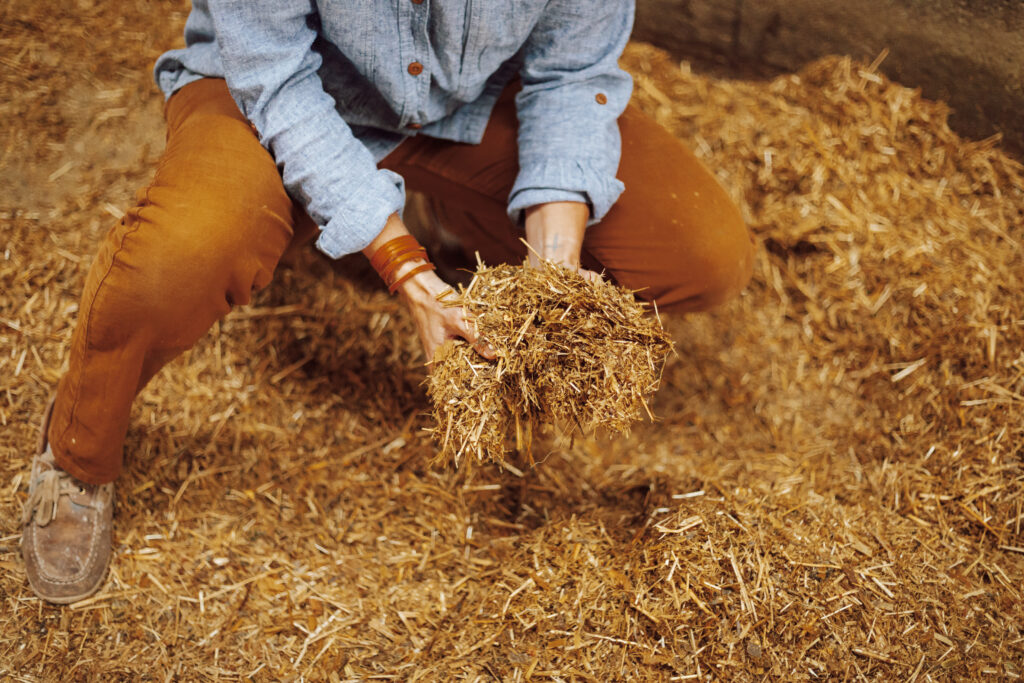 holding feed