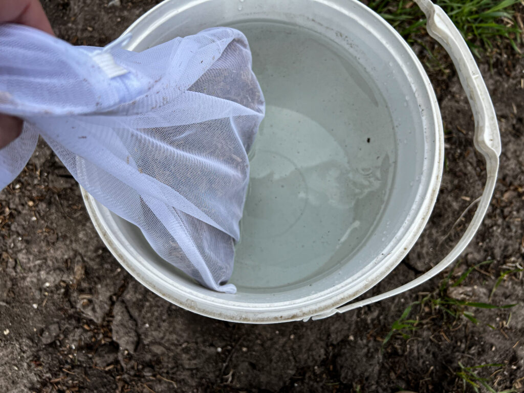 rabbit compost in water bucket