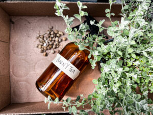 How to Make Composted Rabbit Tea - Hearty Sol