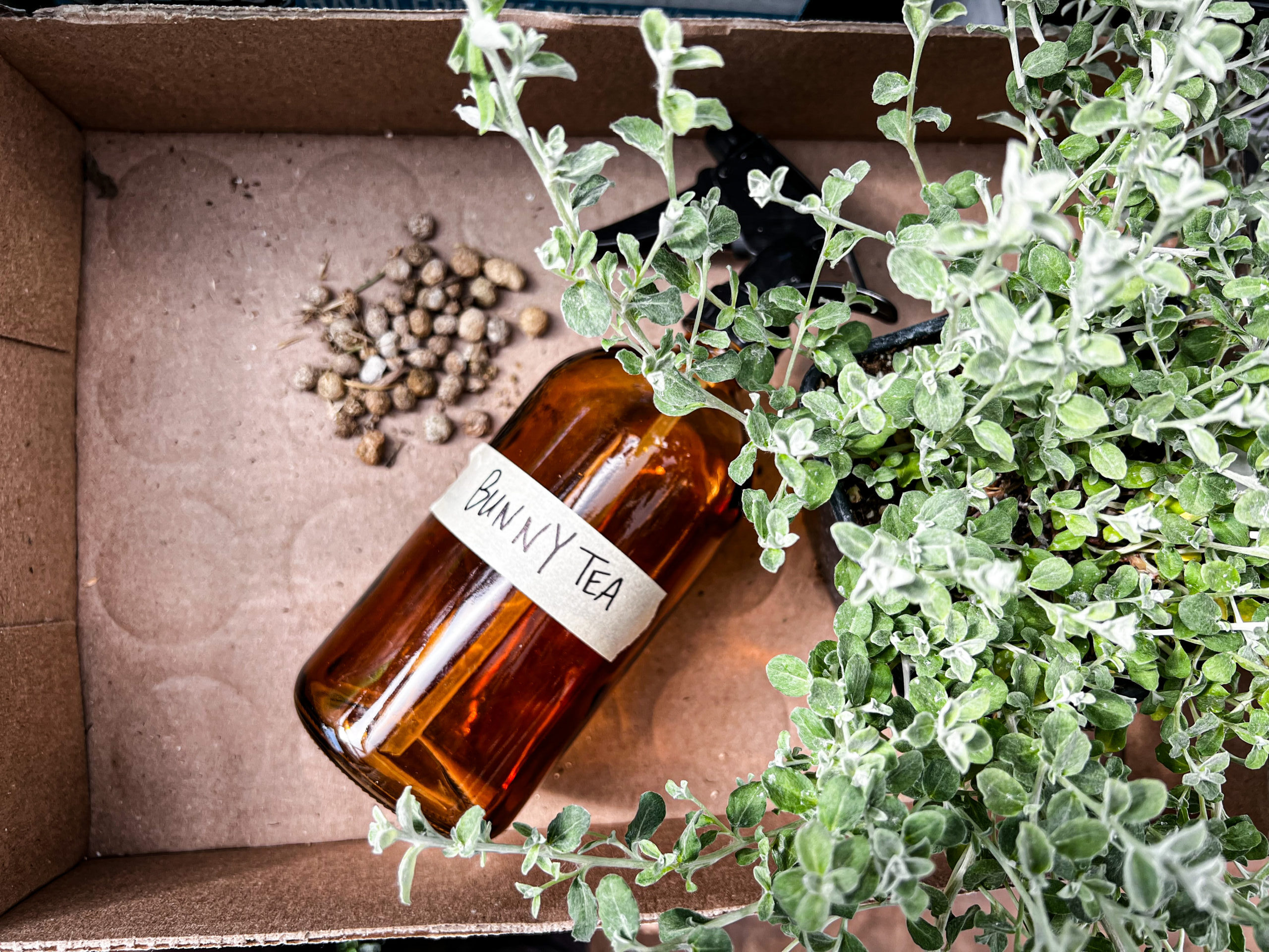 How to Make Composted Rabbit Tea Hearty Sol