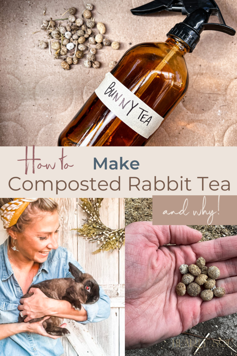 How to Make Composted Rabbit Tea Hearty Sol