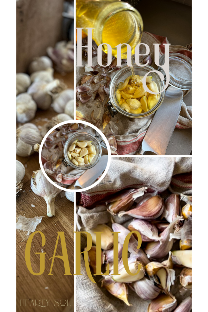 honey garlic ferment pin