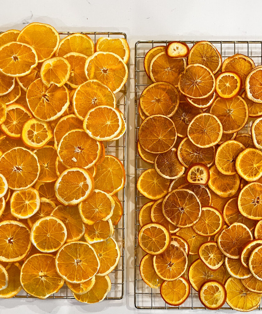 dehydrator vs. oven oranges