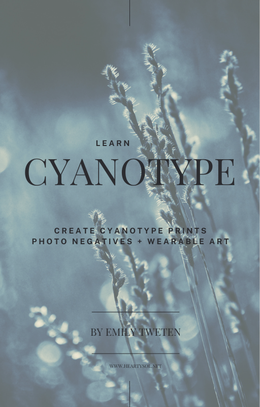 cyanotype workshop
