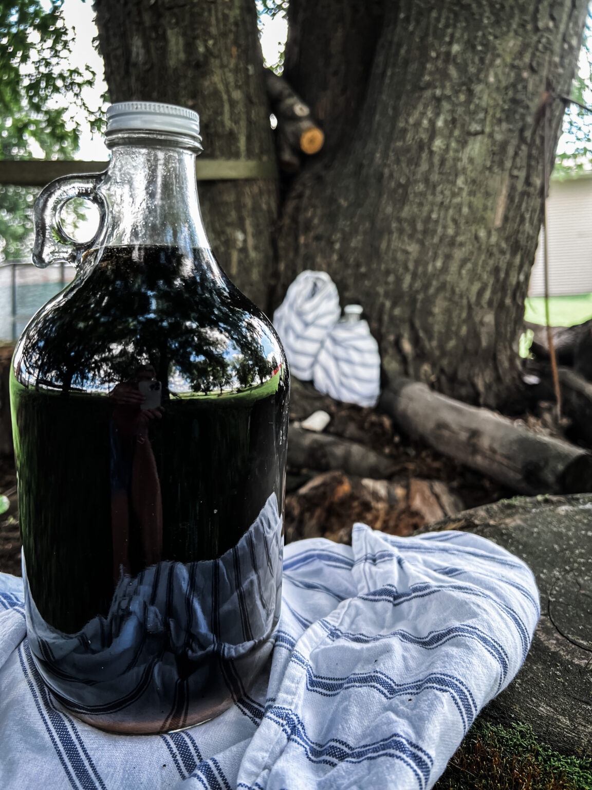 Brewing Homemade Root Beer from Scratch Just 5 Ingredients! Hearty Sol