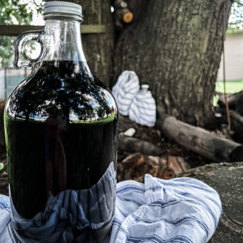 root beer near a tree