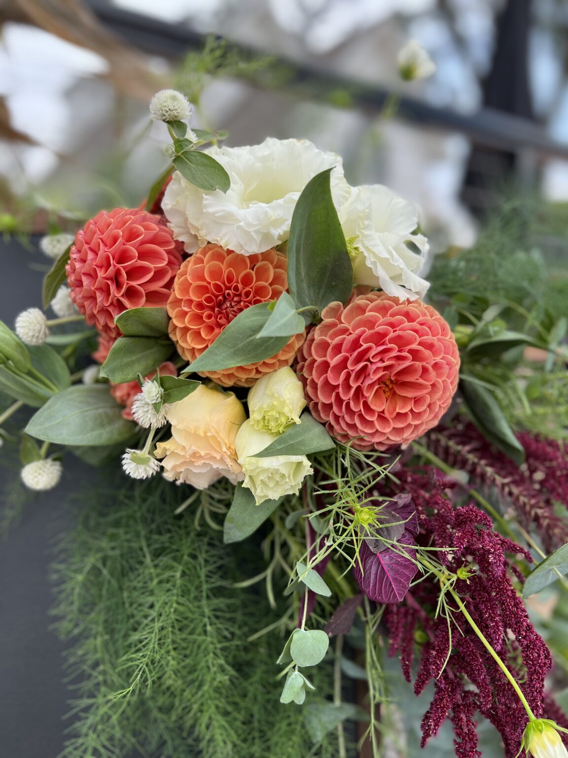 How To Grow A Garden Of Dahlias A Guide To Abundant Dahlia Blooms How To Grow A Garden Of Dahlias A Guide To Abundant Dahlia Blooms