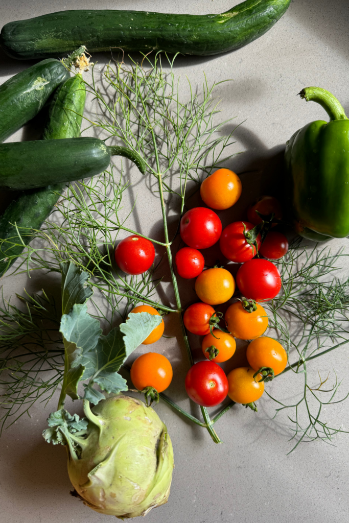 Veggies for Pasta Salad