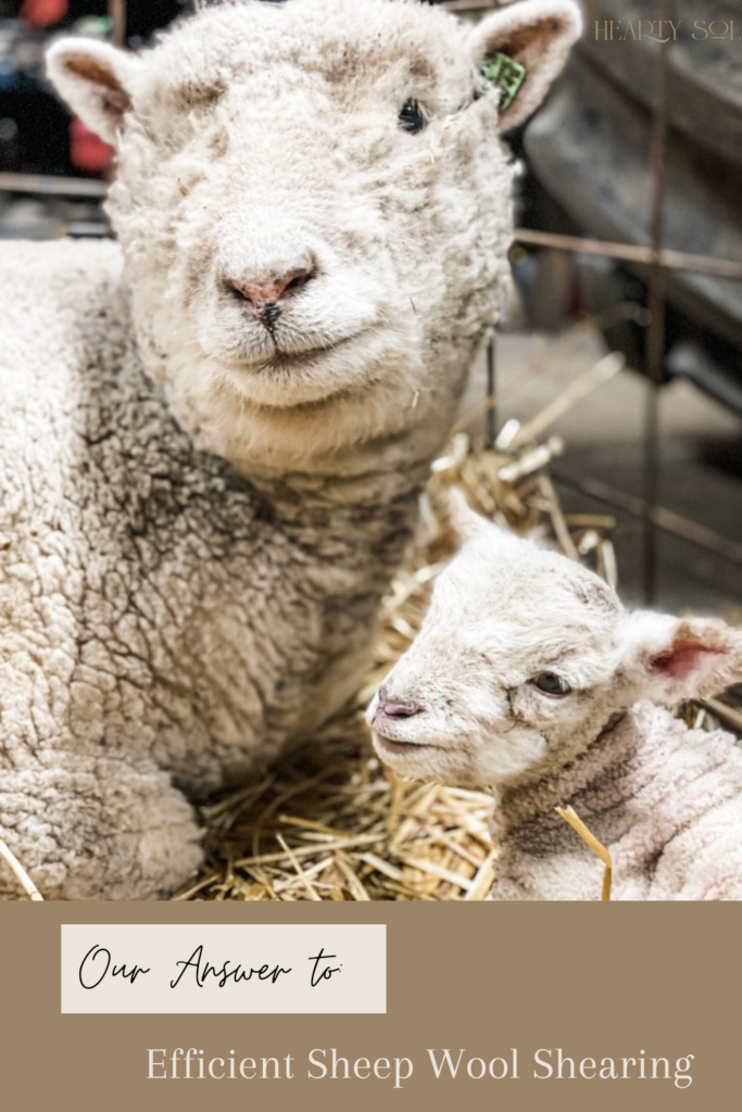 Sheep Shearing Pin