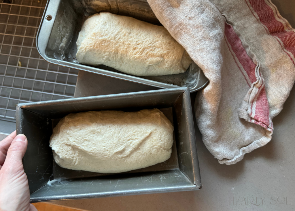 2 bread pans of wheat bread