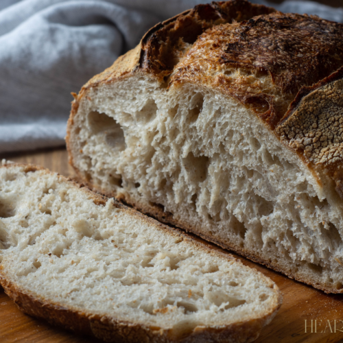 sourdough bread