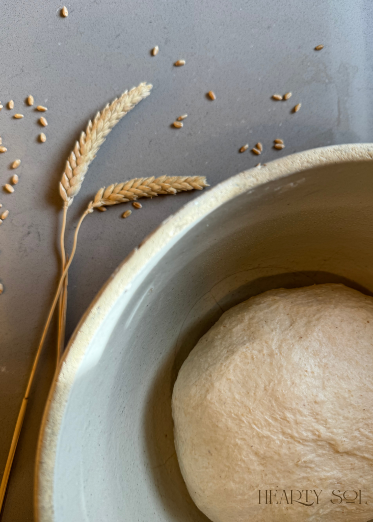 Whole Wheat Dough