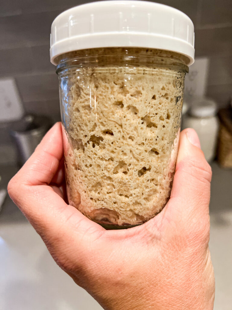 stiff sourdough starter