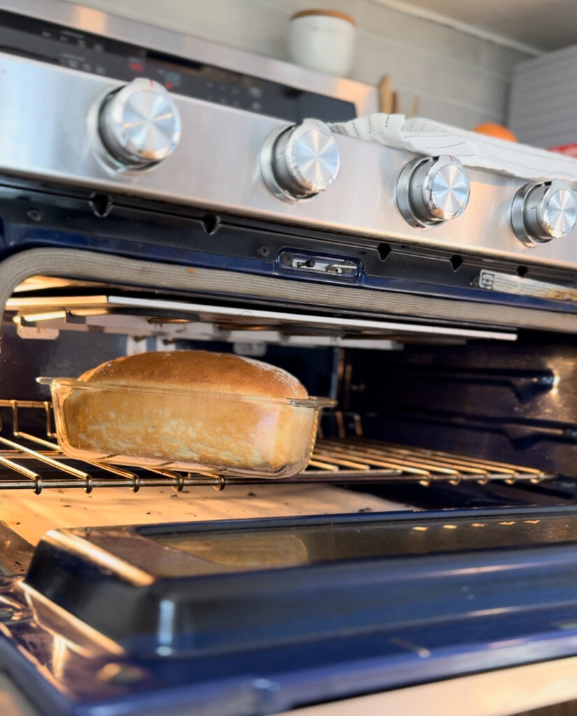 Everyday bread in the oven