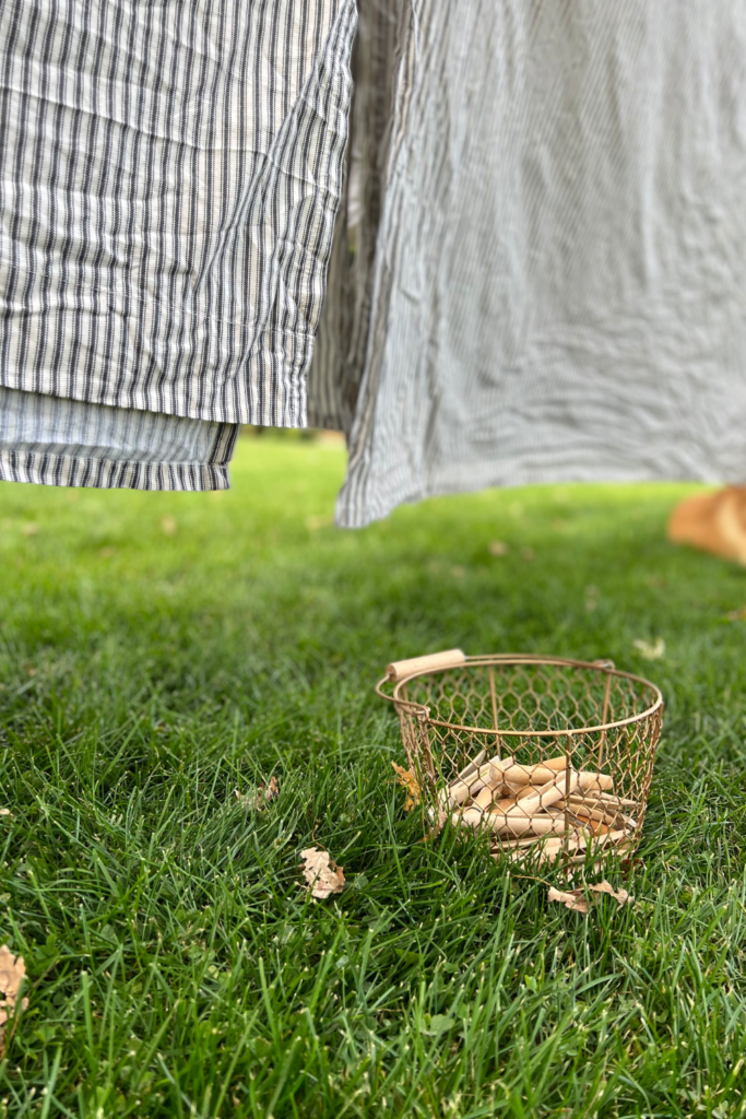 Backyard Clothesline